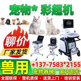 便携式兽用 B 超机 母猪牛羊测孕背膘检测仪兽用B超仪厂家