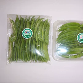 功能薄膜;包装薄膜;其他塑料薄膜