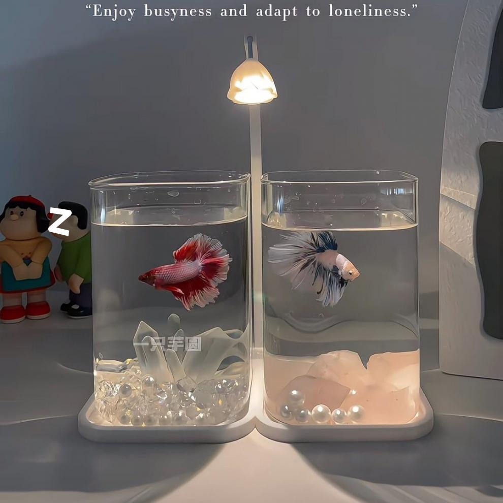 89bf50d1-5e40-41be-b016-a6ee2b8b9e60.jpe