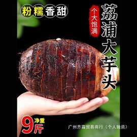 广西荔浦新鲜大芋头9斤农家特产紫藤毛芋头香芋槟榔芋蔬菜包邮10