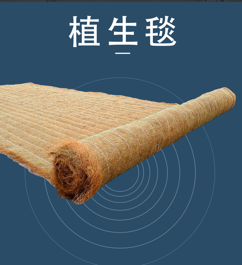 详_02.jpg