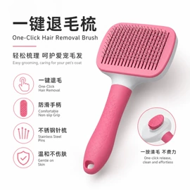 狗狗清洁;宠物梳子;口腔清洁