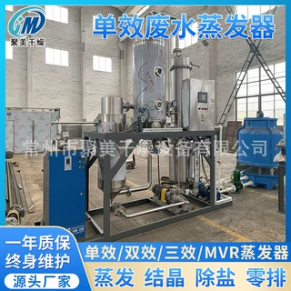 高浓度氯化铵废水单效蒸发器绿色中果汁浓缩器