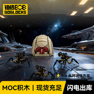 MOC �Ǻӑ��-�X�x�eľ���Brain worm���ݘ��� һ�����l�羳