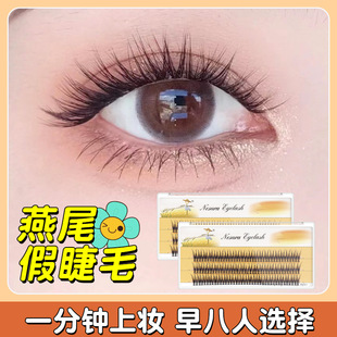 Wholesale Cross-Border Scarecrow Swallowtail Cross Cartoon Hair Natural Thick Fishtail Single Cluster Grafted False Eyelashes