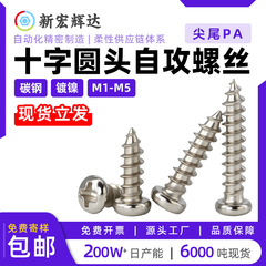 工場直販ニッケルメッキ炭素鋼 PA クロス丸頭セルフタッピングネジ M2M5 なべ頭精密電子小ネジ