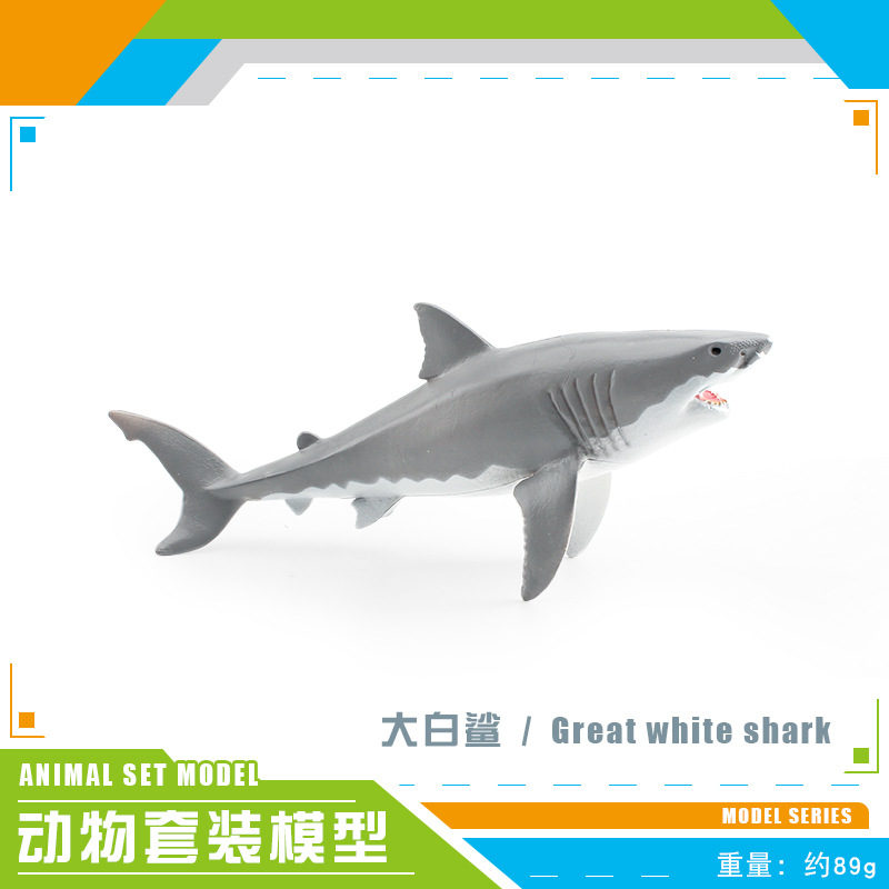Transfronterizo simulación animal marino modelo dragón mágico gran tiburón blanco morsa nariz afilada ballena submarino biológico estático decoración juguete