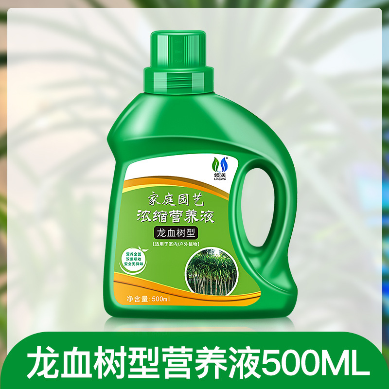 드래곤 블러드 트리 영양액 500ml*1병
