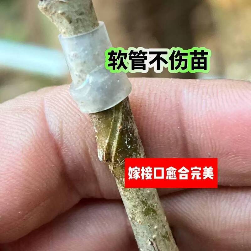 接ぎ木用カバー、柔軟な防水中空古い杭、接ぎ木用苗、花苗、スイカバラ、バラの接ぎ木用枝、シリコンカバー|undefined