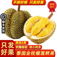 ̩�������^��ɏ�������rˮ������һ�������l������]�ɰ�������]