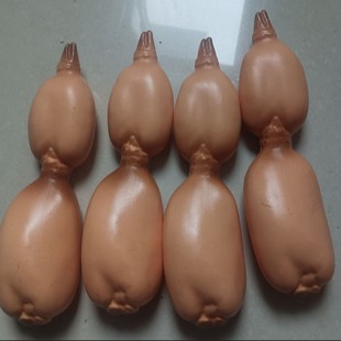 ����ɏź���t�������������}�������S�ϰײ������߲˼����׵���
