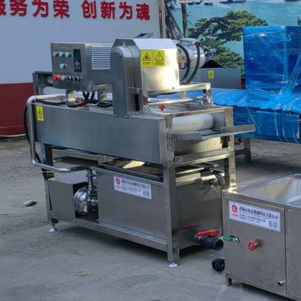 粽叶清洗机 箬叶芦苇毛竹柊叶清洗设备芭蕉叶清洗机 快速洗粽叶机