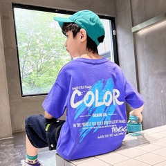 Boys' Summer Short-Sleeve T-Shirt Children Purple Half-Sleeve T-Shirt 2023 New Trendy Summer Top