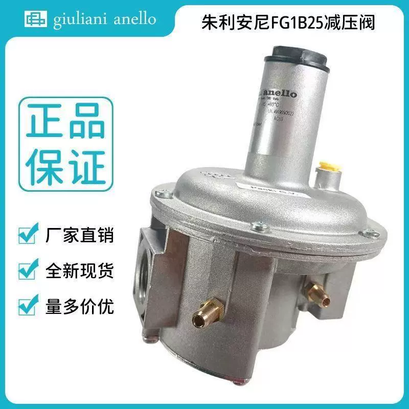 Газовый редукционный клапан Giuliani FG1B15/ FG1B20 /FG1B25 Италия клапан регулирования давления