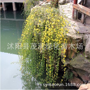 lͥԺG^ֲ@־GӭӭSܰС