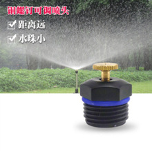 4̨ʽ{^ròƺDԄӝˮ^