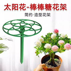 太陽の花の支柱の棒のアメの花の棚は藤に登って接ぎ木して固定の支えの単層の多層のカニの爪の蘭の花の棚の鋳型を接ぎ木します。