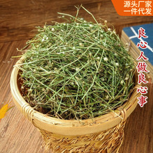 白花蛇舌草 百花蛇舌草中药材大自然 5克包 另售半枝莲铁树叶
