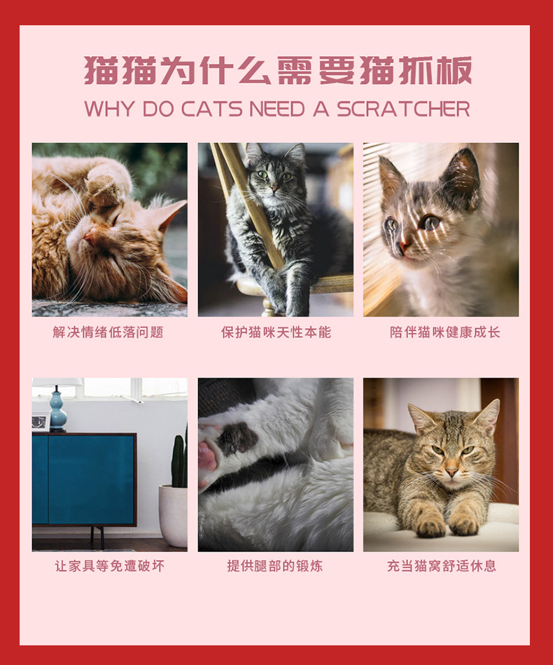 详情_08.jpg