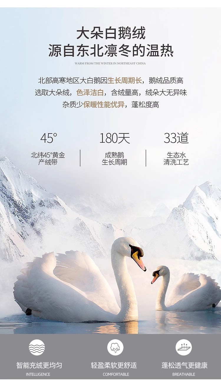 O1CN01eEpnjF28KfNI85z4U_!!1009