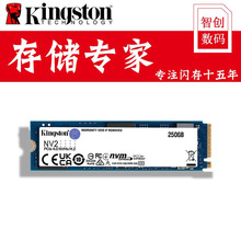 原装正品金士顿硬盘固态NV2250G1TB2TB台式机SSD500G游戏硬盘批发