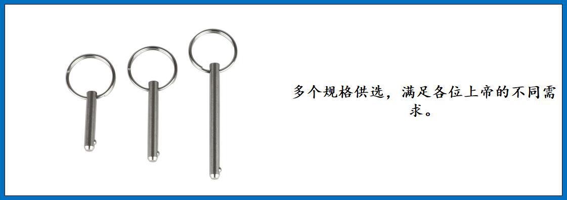 ZB7603拉环弹珠销 细节图-3.jpg