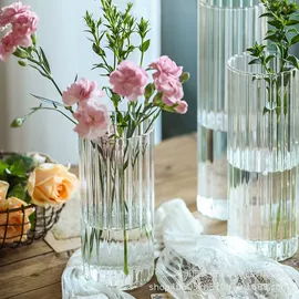 收纳密封罐;玻璃杯;水培植物瓶