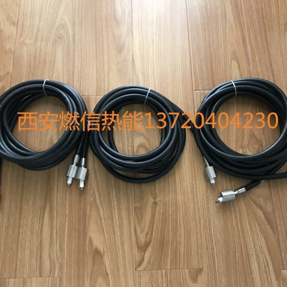 液化气远程点火装置 RXGD-20高能点火器点火杆可自净抗积碳