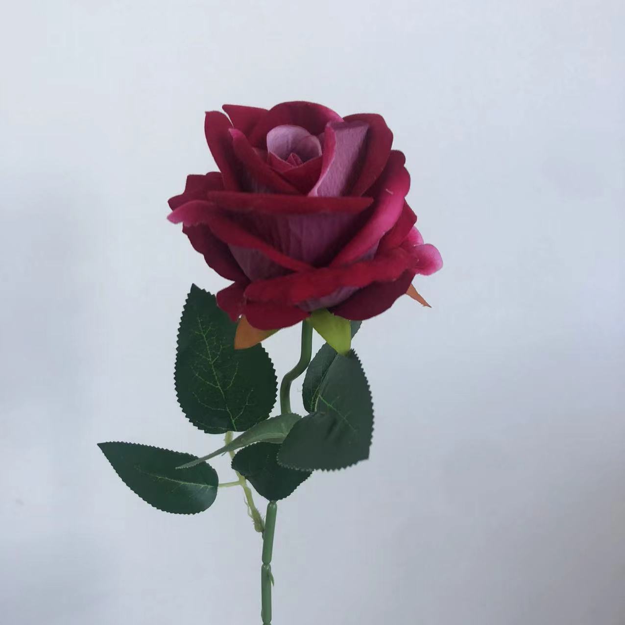 로즈 레드