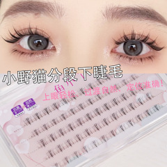 魚小丫三段式小野貓下睫毛五排大容量透明細梗自然仿真設計感批發