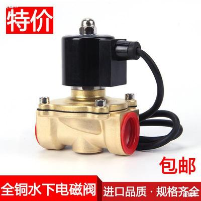 All copper Normally closed Underwater fountain waterproof Solenoid valve Valve electromagnetism control valve 220v Off valve 24v