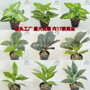 18�^����������~�t�ư��R�~�zƬ���~�Gֲ����ƺ�b������Կ羳