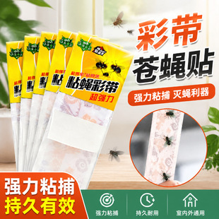 ��30Ƭ���p���²ʎ��l�nω�N�Ғ�ʽճω���Bֳ���T��ω����ճω�l