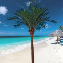 �������Ҭ�Ә侰�^�����쾰 ����ɳ���ȼٴ�Ӿ���������Ҭ�Ә�