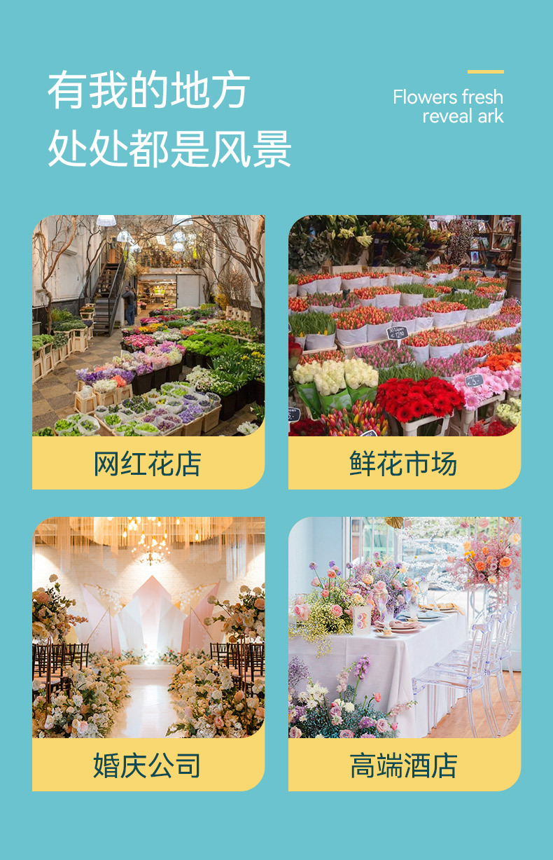 鲜花保鲜柜