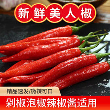 农家现摘5斤美人椒新鲜红辣椒微辣辣椒海花红二荆条泡椒剁辣椒酱