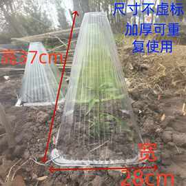 高37cm超大号育苗保护罩透气透明植物保护罩辣椒茄子保温罩