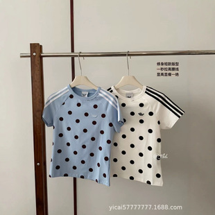 26���_��AD���c�������~�ݏ͹ų����ļ��\�����et���ٴ�������Ů