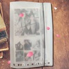 Polaroid, transparent matte photoalbum, photo, sticker, cards, storage system, 7inch