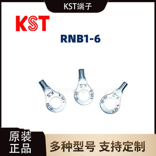 ̨��ԭ�bRNB1-6 �A�����䉺�Ӿ�����T2���~����a�~����