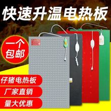 iP늟i̼wSĸiaFüӟСiذ