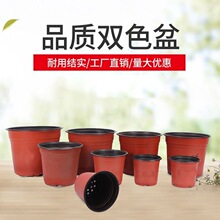 �S��ֱ�N�����pɫ����PP����ܛ���������ͥ�@ˇ���⻨�����l�S��