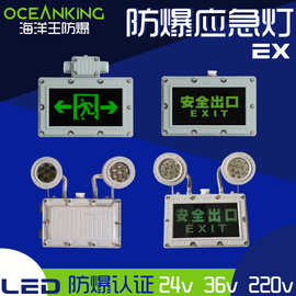 防爆出口指示牌双头应急照明灯LED消防疏散220V36V24v海洋王