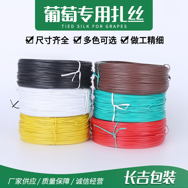 现货批发100米卷园林扎丝包塑葡萄扎丝 植物固定pvc镀锌扎丝扎带