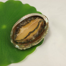 �����U�~������ؐ���ط۽z���r�������r�з�[���̈�Ӱҕ����