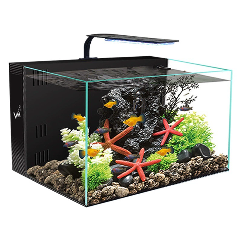 Задний фильтр Маленький аквариум Бытовая гостиная Офис Без воды Саморегулирующийся ультра-белый стеклянный аквариум
