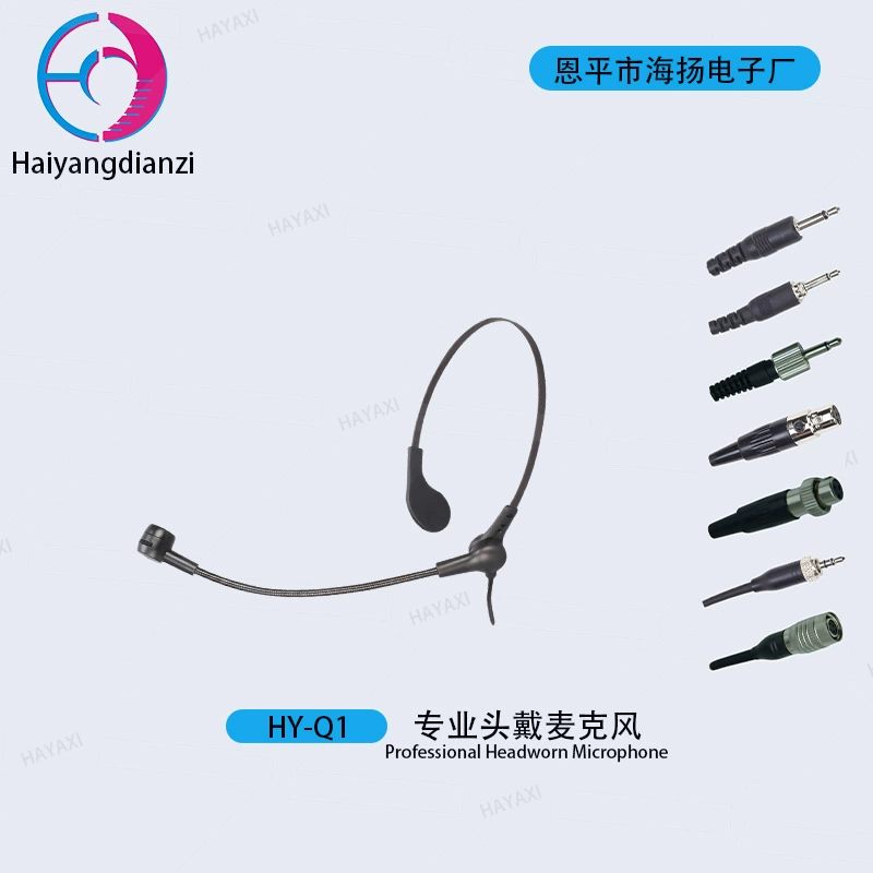 Головной микрофон, гид, конденсаторный микрофон, конференц-вызов, обучающий микрофон, маленький громкоговоритель для пчел, посвященный учителю