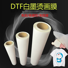 胶片、胶卷;印刷耗材;烫印膜