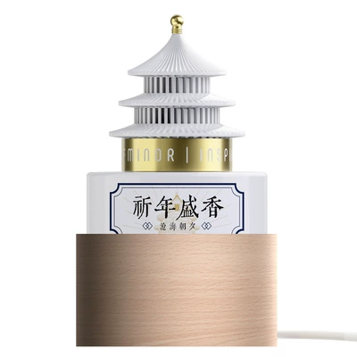 Home Atmosphere Light Flameless Fragrance — Perfplant seat