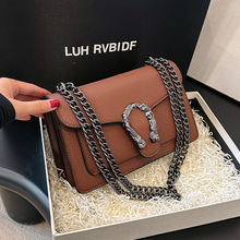 �羳�͹�朗l�μ�Ů��2026�¿������~���^�������֦�y�|��б���